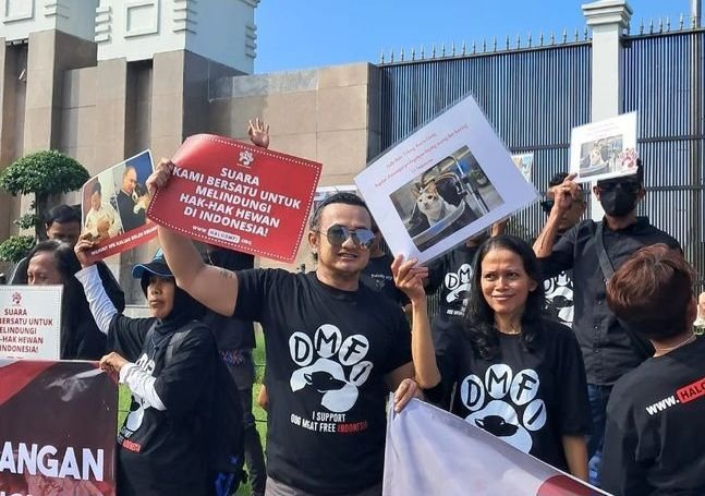 DMFI Kritik DPR, Tuntut Perlindungan Hewan Domestik Lebih Serius