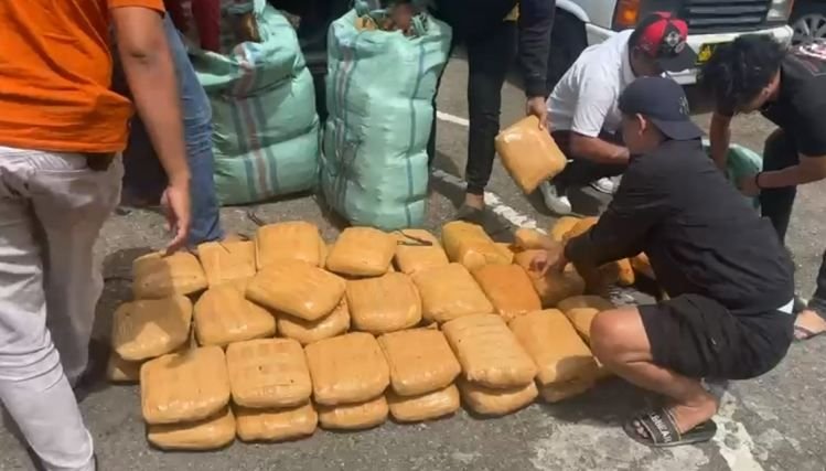 Polda Sumbar Sita 270 Kilogram Ganja Kering