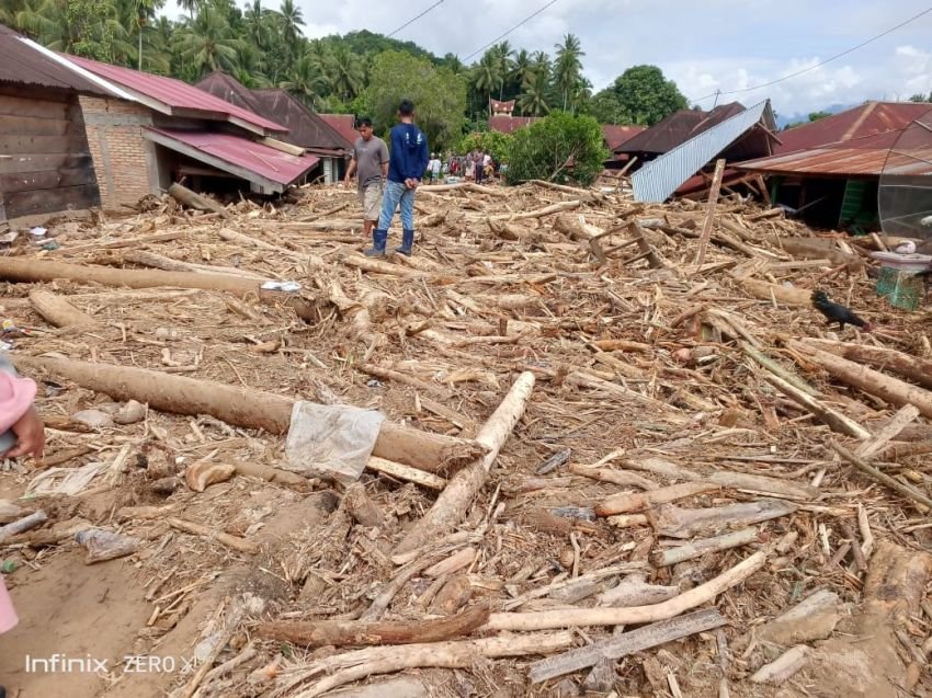 Ratusan Kubik Kayu Gelondongan Timbun Lokasi Banjir Bandang di Tapsel