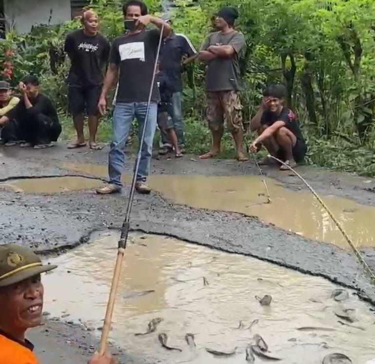 Protes Jalan Rusak di Langkat, Warga Tanam Pisang dan Tebar Ikan Lele