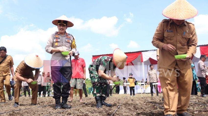 Dukung Program Ketahanan Pangan Polres Binjai Tanam Jagung di Dua Kecamatan