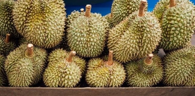 Segera Hadir Hotel Bertema Durian Pertama di Dunia