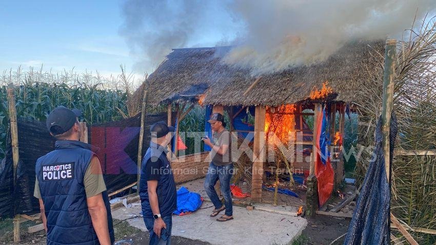 Polres Binjai Bakar Barak Narkoba di Tunggorono