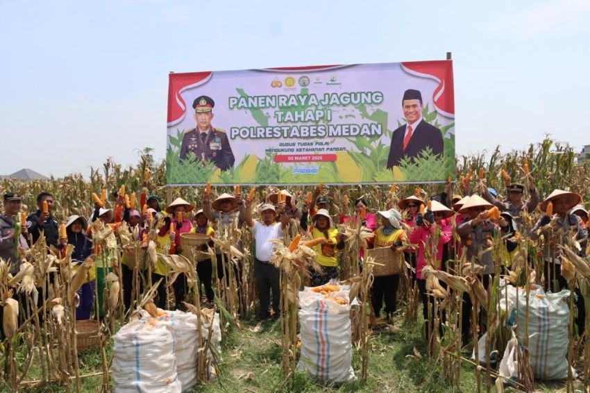 Polrestabes Medan Gelar Panen Raya Jagung Tahap Pertama