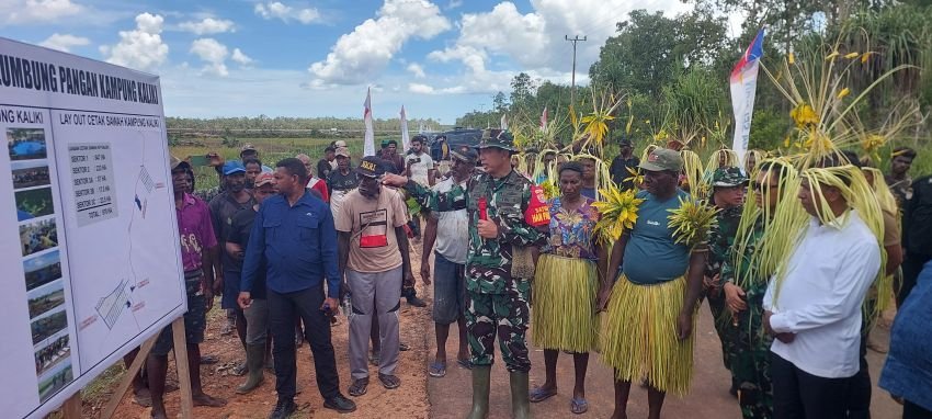 Gubernur Papua Selatan Panen Raya di Kaliki, Ajak Masyarakat Dukung Ketahanan Pangan Nasional