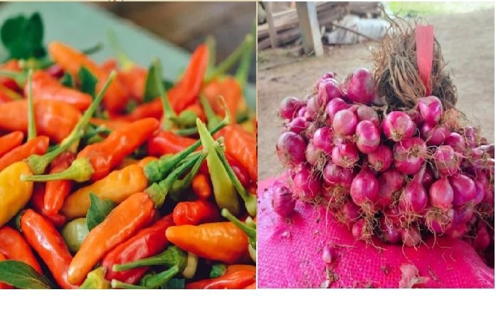 Awal Ramadan: Cabai Rawit dan Bawang Merah Melonjak, Warga Medan Beralih ke Alternatif