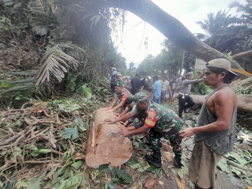 Koramil 19/Siais Bersama Masyarakat Evakuasi Pohon Tumbang yang Tutup Akses Jalan di Tapanuli Selatan