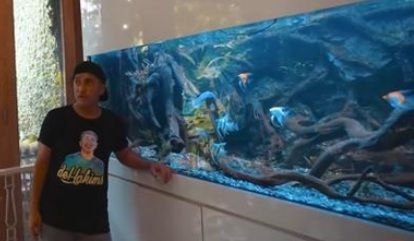 Irfan Hakim Siapkan Akuarium Gantung untuk Pelihara Ikan Hiu