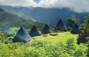Deretan Rumah Unik di Indonesia, Perpaduan Warisan Tradisi dan Kreativitas Modern